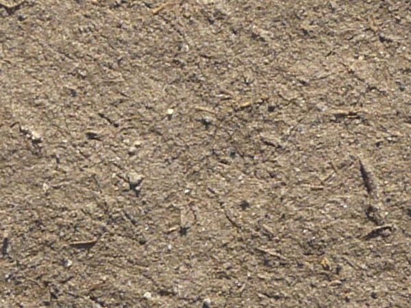Tan ground texture covered by a layer of rough, sandy soil.