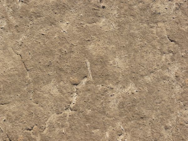 Tan ground texture with a rough, dried surface that has various angular cracks in it from drying. Small white sticks and weeds are visible on the surface.