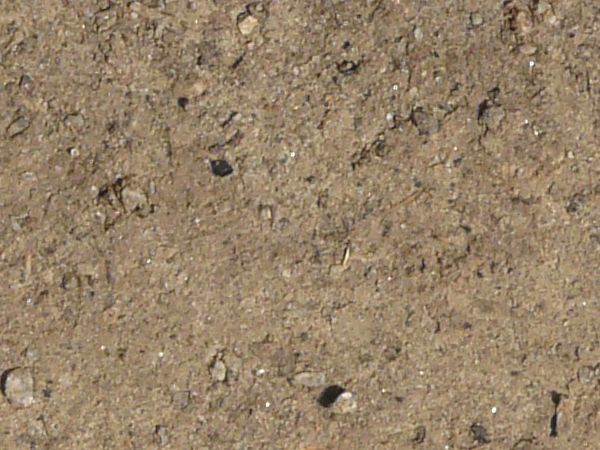 Tan ground texture, featuring soil dried into a hard, solid surface with various small chips, cracks and rocks visible in it.