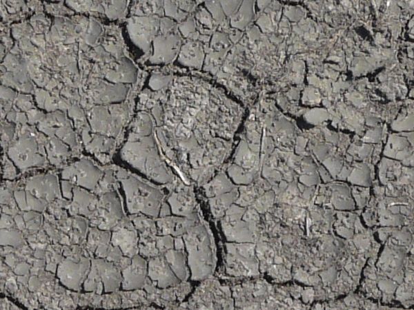 Dried grey ground texture with various sized cracks and crumbling soil. White patches and small green weeds are also visible.