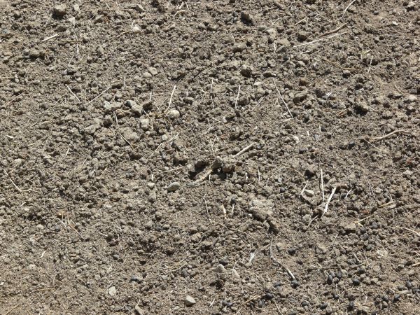 bare ground  texture