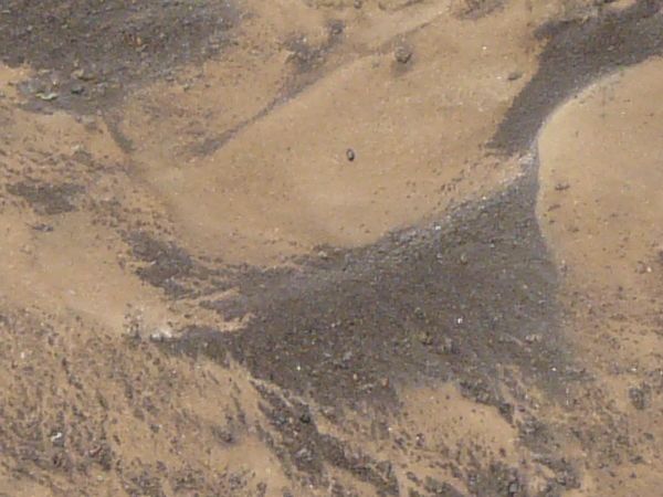 Sandy brown mud texture, with streaks of darker, damper soil running through it.