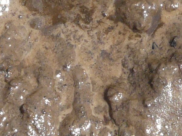 Watery mud texture in various shades of brown, with a shiny surface full of irregular marks and indentations.