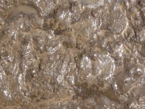 Watery mud texture in various shades of brown, with a shiny surface full of irregular marks and indentations.