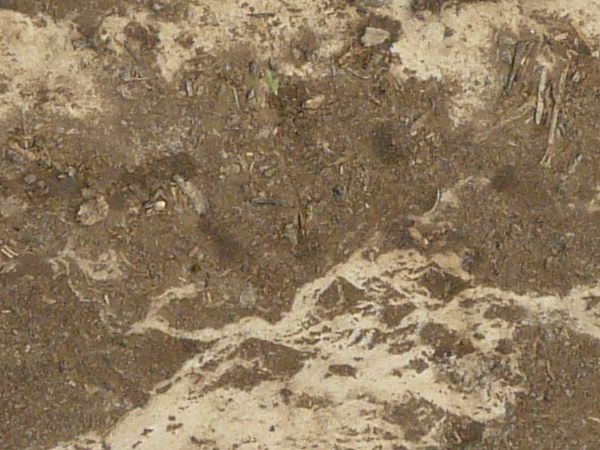 Brown soil texture, in various degrees of dampness and with irregular areas of light tan dirt spread throughout. Small sticks are visible in the soil.