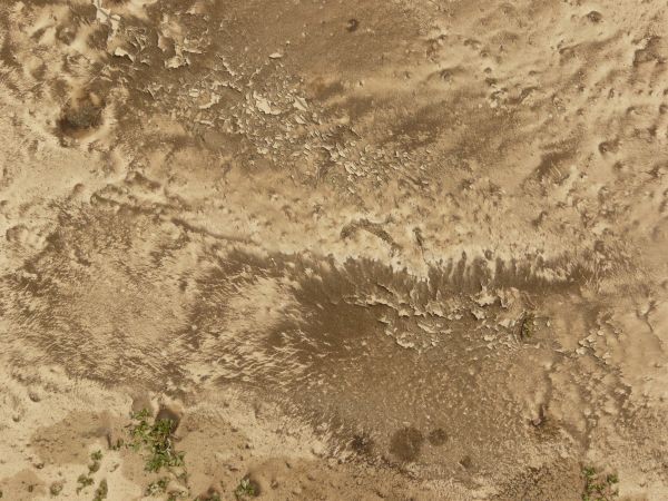 Sandy soil texture, swirled with various hues of brown and tan, and with small areas of green weeds.