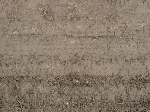 Grey mud texture, with large tire treads, areas of drying, crumbling drying soil, and small amounts of dirty water.