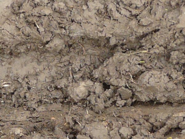 Grey mud texture, with large tire treads, areas of drying, crumbling drying soil, and small amounts of dirty water.