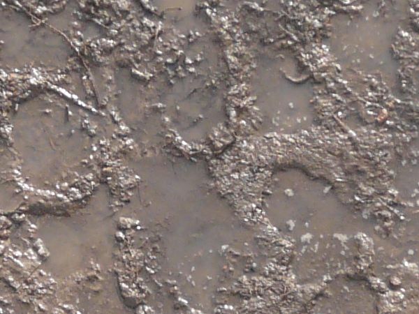 Grey mud texture, covered irregularly by footprints, tire treads and other marks. Pools of clouded water and streaks of brown mud are visible throughout.
