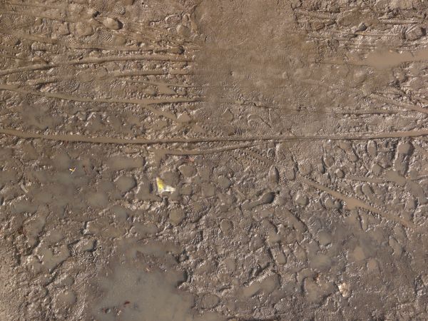 Brown mud texture covered with footprints, tire treads and other assorted marks. Shallow pools of water are also visible.