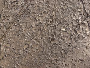 Brown mud texture, covered completely by various footprints, tire treads and other marks.