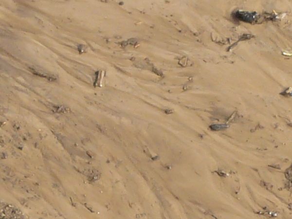 Brown mud texture with various rocks and stick debris, and swirling streaks of brown soil, leading out to a pool of dark water.