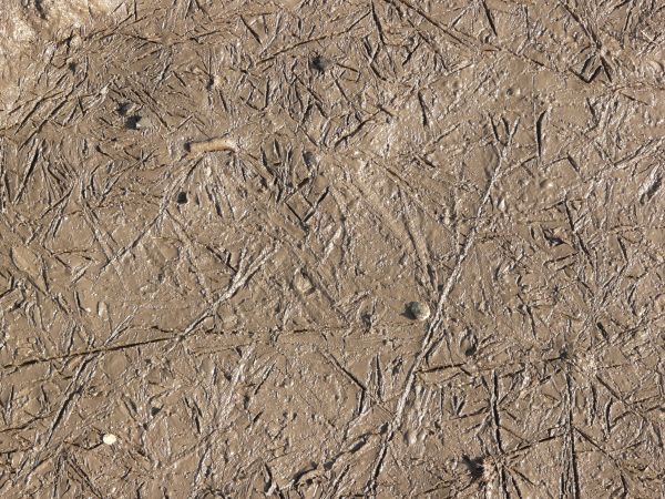 Wet brown mud texture, covered in tiny angular scratches, and with a few small stones visible.