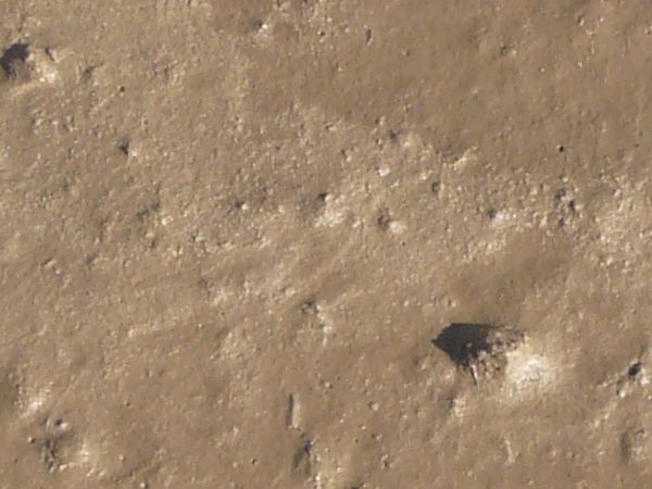 Damp brown mud texture, formed into an uneven surface with many small rocks and bumps covering the surface.
