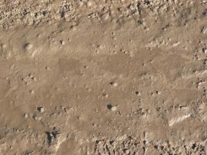 Damp brown mud texture, formed into an uneven surface with many small rocks and bumps covering the surface.