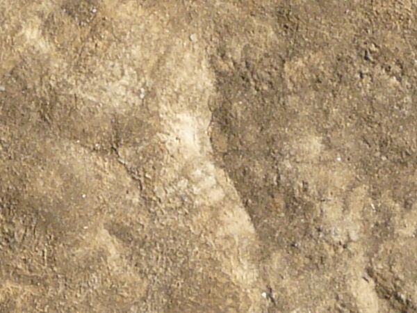 Sandy brown soil texture, with various marks, impressions and streaks of tan soil in its surface.