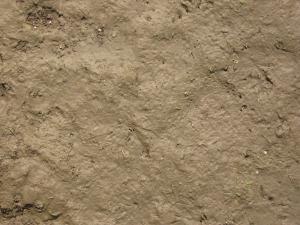 Drying brown mud texture, hardened into an uneven surface full of small holes and bits of green weeds.