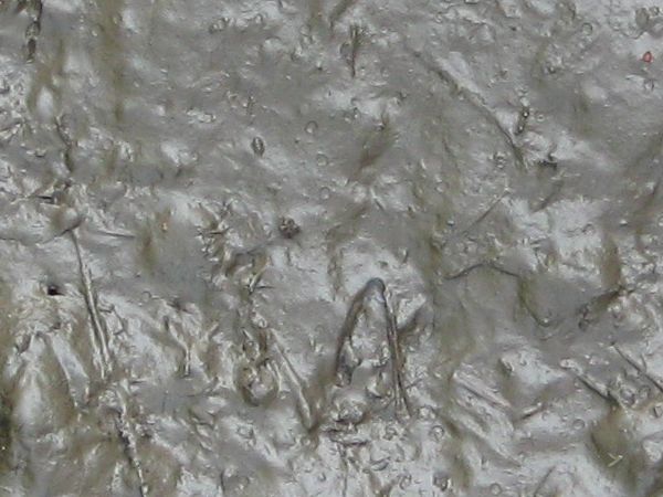 Grey mud texture, soaked to form a shiny, viscous surface, with various sticks and marks visible in it.
