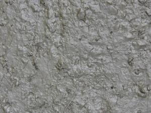 Grey mud texture, soaked to form a shiny, viscous surface, with various sticks and marks visible in it.