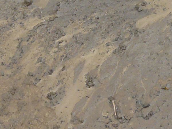 Brown mud texture, with swirling tan streaks and varying degrees of dampness. Small rocks and sticks are visible throughout.