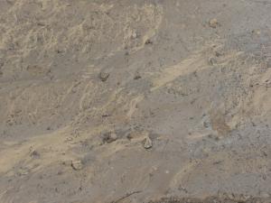 Brown mud texture, with swirling tan streaks and varying degrees of dampness. Small rocks and sticks are visible throughout.