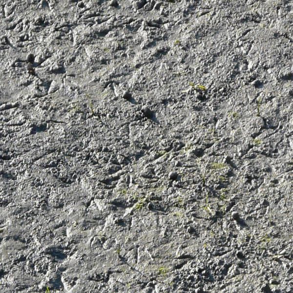 Grey mud texture with various holes, marks and scratches in its surface. A few small green weeds are also visible.