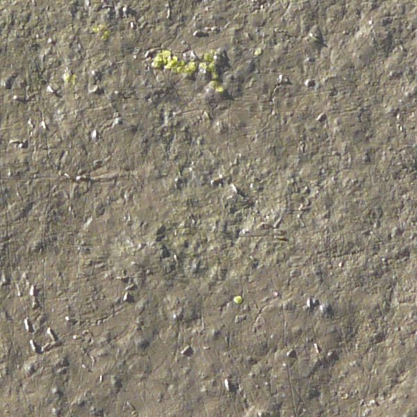 Brown mud texture with various small rocks and scratches in its otherwise mostly level surface. A few small green weeds are also visible.