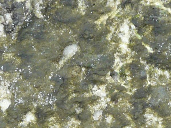 Drying mud texture in hues of green and white, formed into a bumpy, damp surface.
