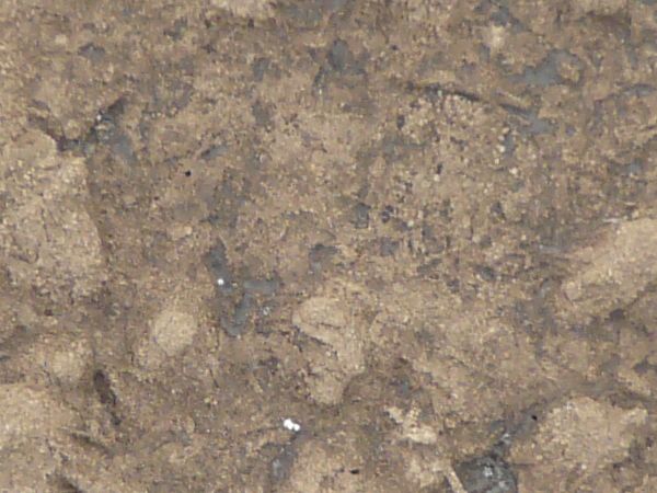 Brown mud texture, partially dried into large clumps and crumbling areas.