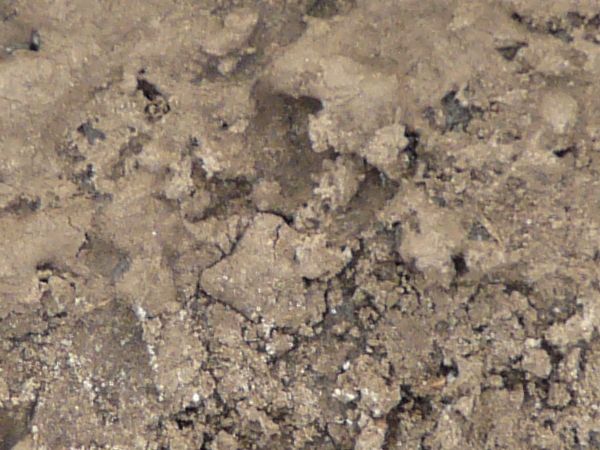 Brown mud texture, partially dried into large clumps and crumbling areas.