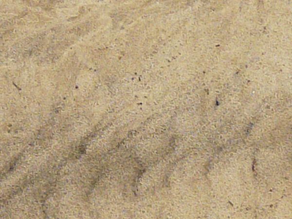 Tan sand texture, with a pattern of long drying marks, and large areas of dark, damp sand. Brown leaves and weeds are also visible on the surface.