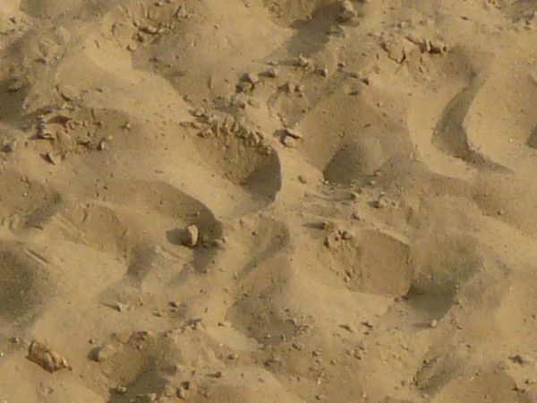 Tan sand texture, formed into small mounds, with various areas of clumping sand and smal green weeds present.