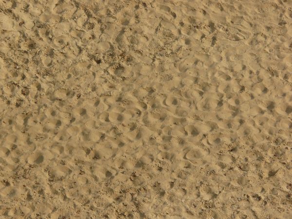 Tan sand texture, formed into small mounds, with various areas of clumping sand and smal green weeds present.