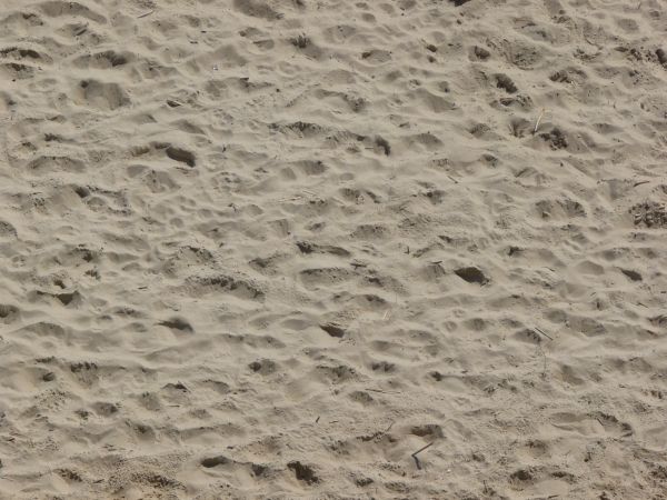 Smooth grey sand texture, formed into many small dunes. A few scattered sticks and rocks are visible.