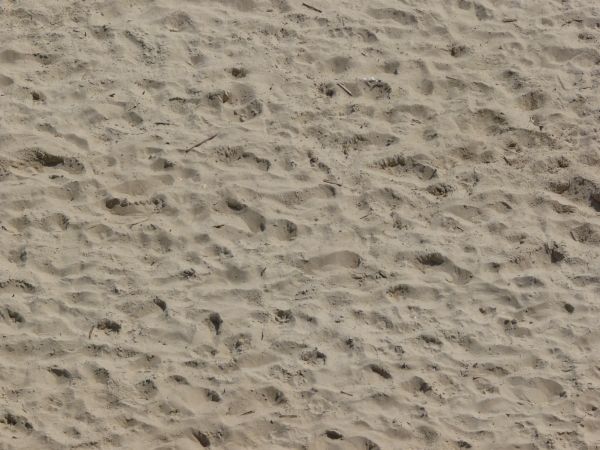 Smooth grey sand texture, formed into many small dunes. A few scattered sticks and rocks are visible.