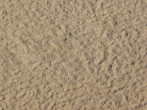 Tan sand texture, formed into small mounds with footprints covering the entire surface.