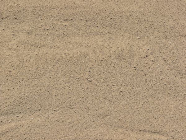 Coarse tan sand texture, with many small dark rocks dried into its surface.