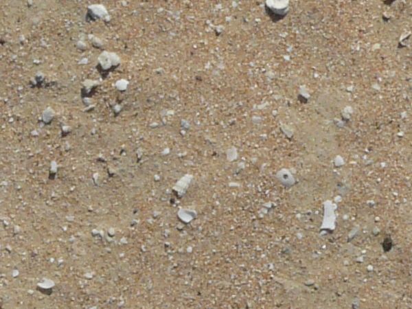 Tan sand texture, with small rocks visible upon and within the surface.