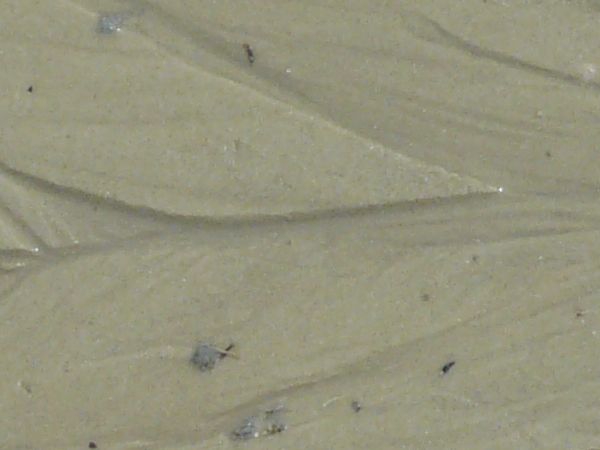 Tan sand texture, with swirling patterns of drying marks in the smooth, even surface.