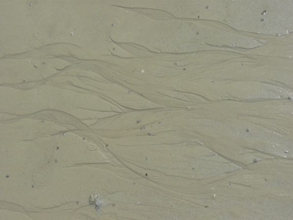 Tan sand texture, with swirling patterns of drying marks in the smooth, even surface.