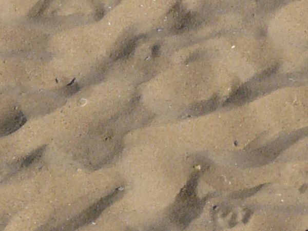 Tan sand texture, with small, smooth mounds covering the surface.
