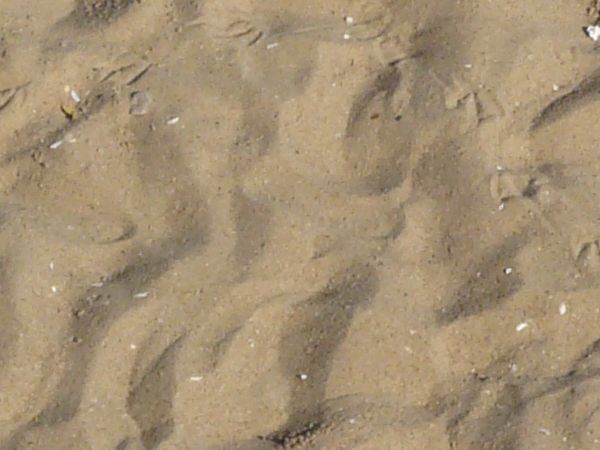 Tan sand texture, with small, smooth mounds covering the surface.