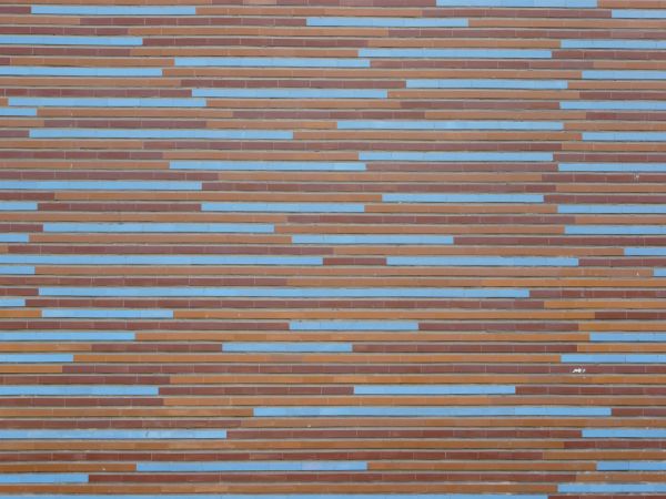 Seamless texture of long, narrow tiles in red tones with blue tiles placed randomly.