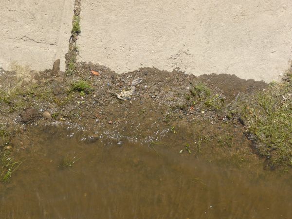 water edge  texture