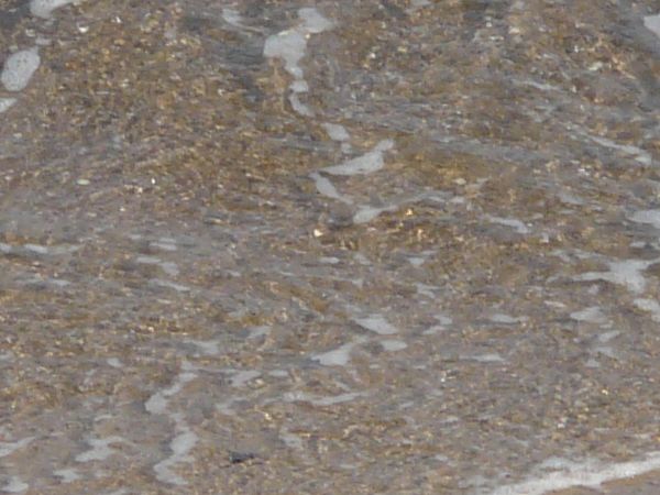 water edge  texture