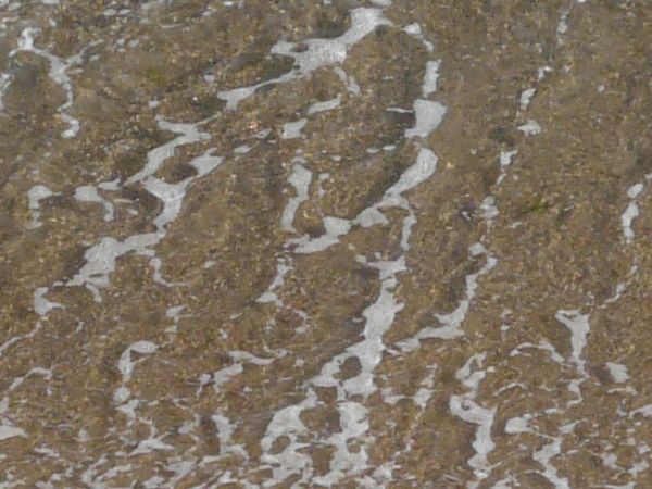 water edge  texture