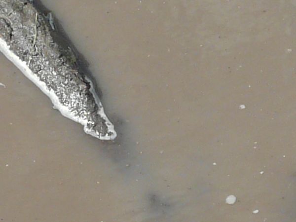 water edge  texture