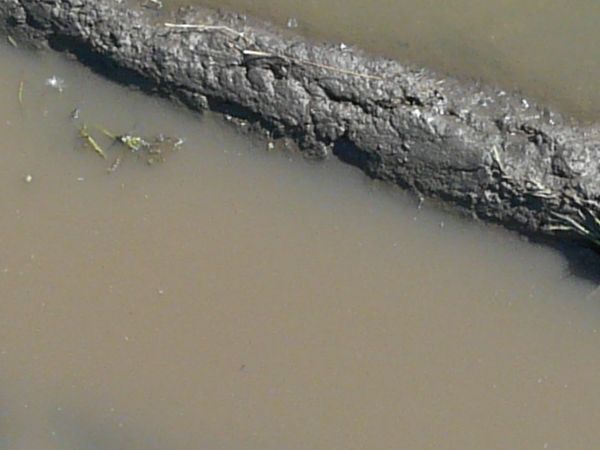 water edge  texture