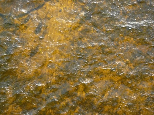 Brown Water Texture 0002 Texturelib
