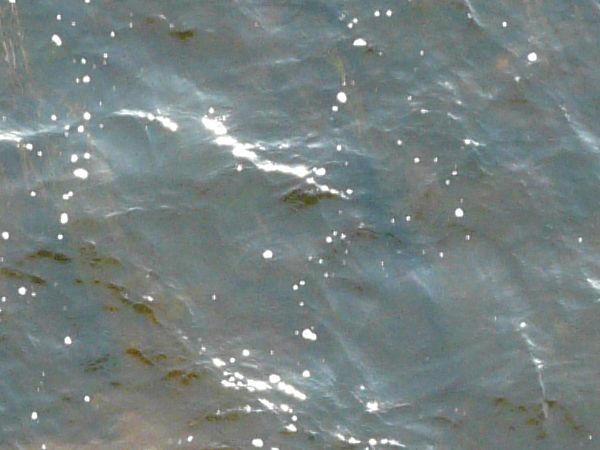 Dark water texture with myriads of small waves across surface.